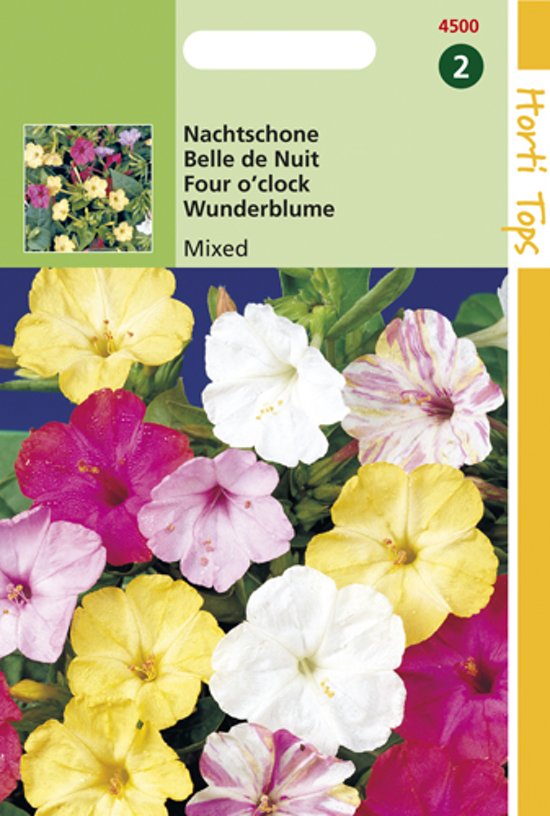 Wunderblume mix (Mirabilis jalapa) 30 Samen